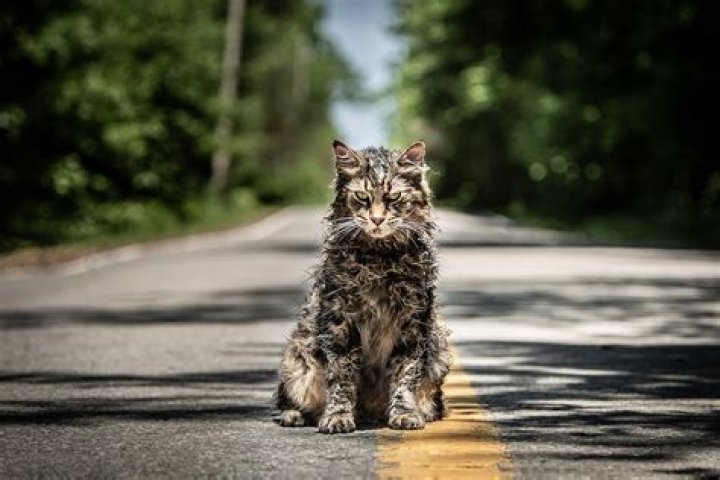 Church Pet Sematary 2019: A Terrifying Journey Through Life and Death