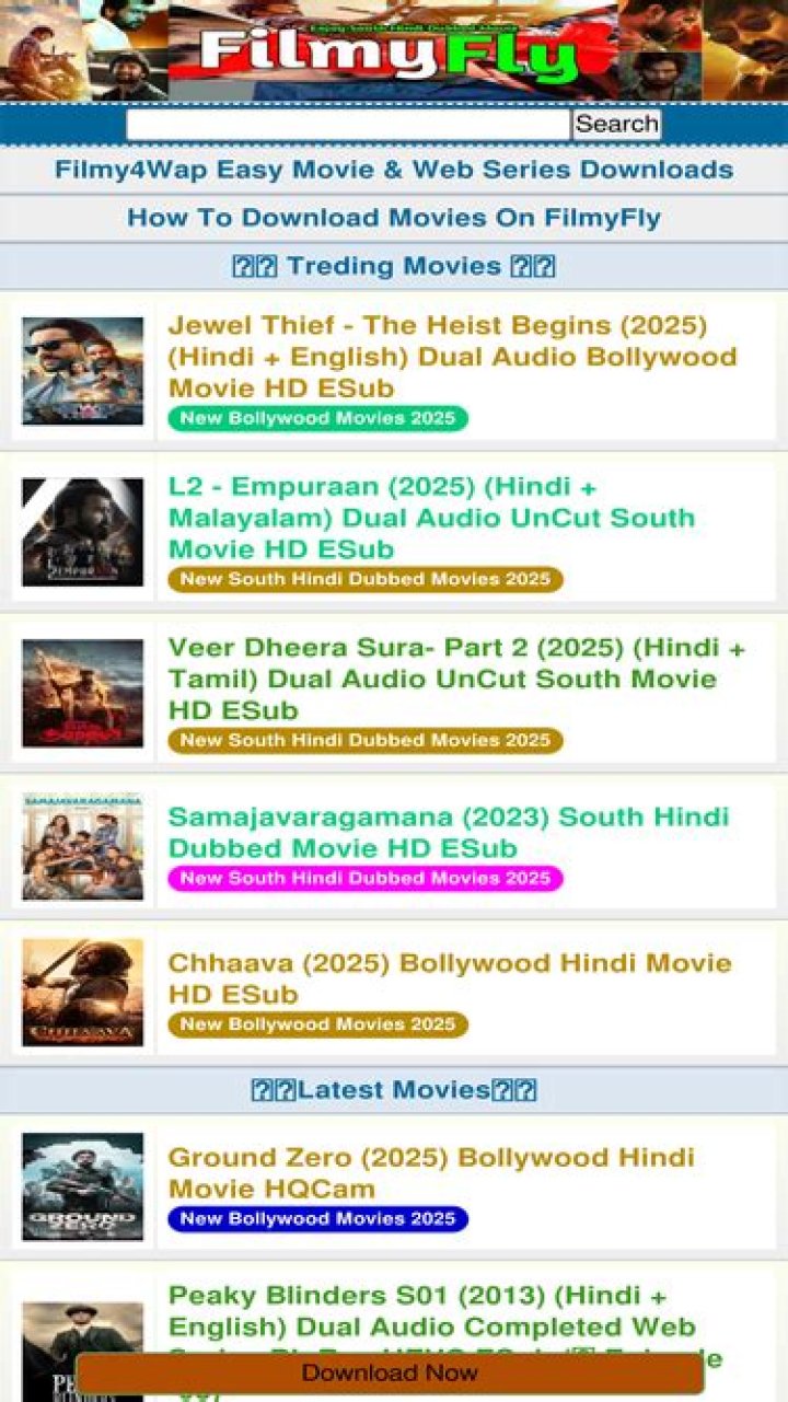 Unveiling the World of filmyfly: Your Ultimate Guide to Movie Downloads