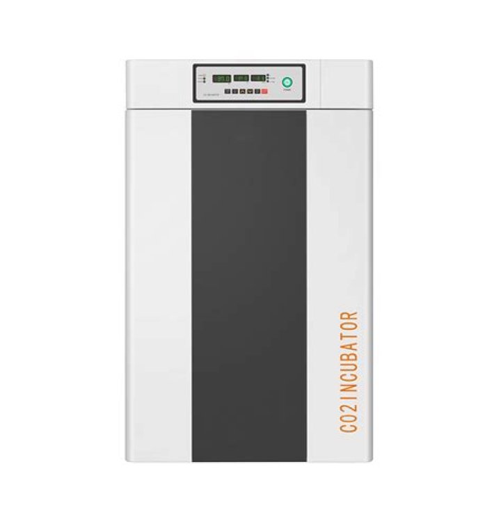 Is Gorecenter Safe? A Comprehensive Guide to Understanding Its Security