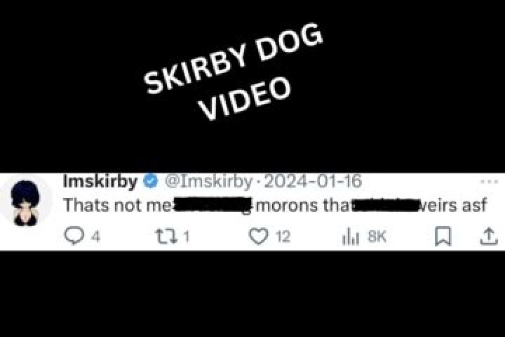 IMSKirby Dog Incident: A Comprehensive Analysis and Key Insights