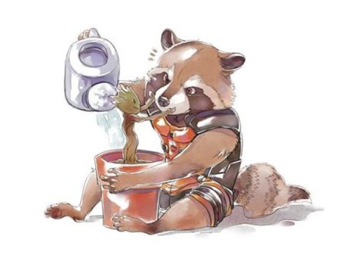 Katmivie: The Rising Star in the Digital Entertainment World