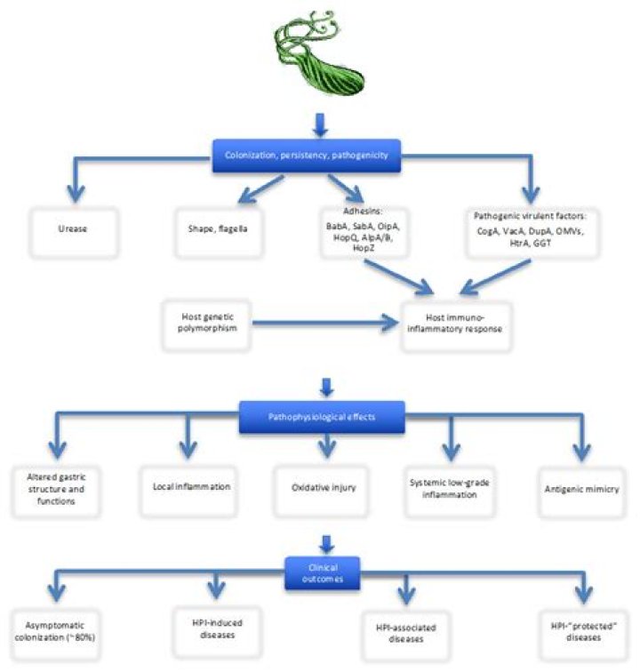 Michael Vaca and Brandi Williamson: A Deep Dive into Their Impactful Journey