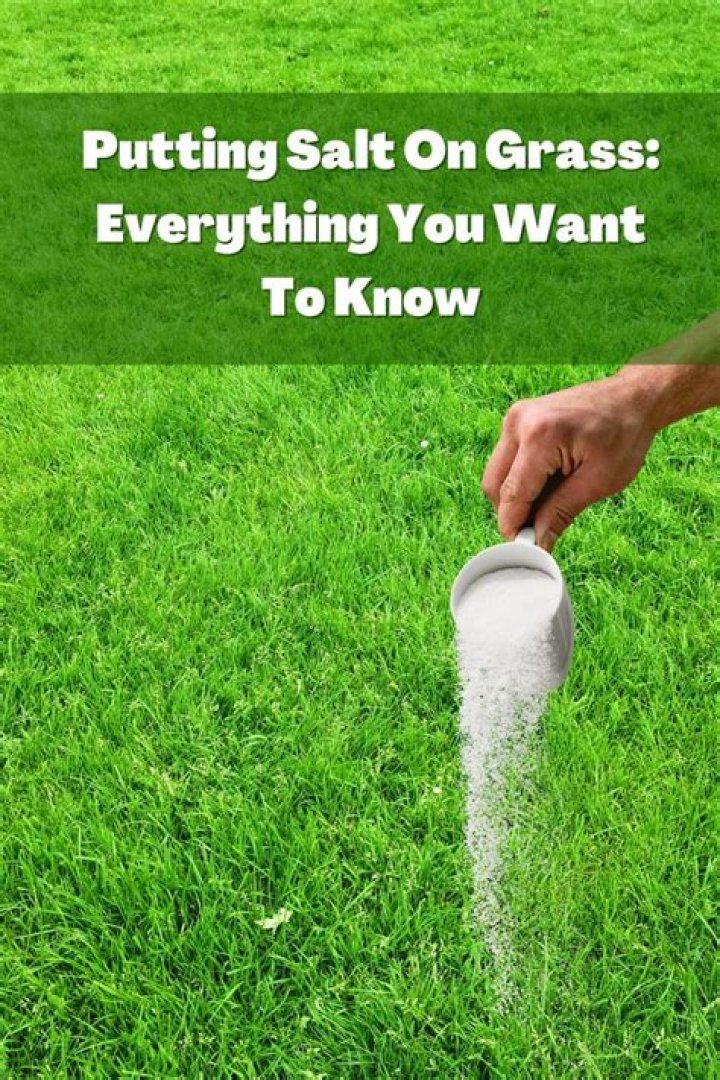 Putting Salt Under Tongue: A Comprehensive Guide to Benefits, Risks, and Expert Insights