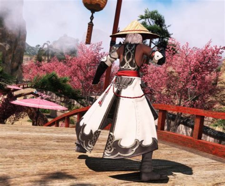 Discover the Power of Theme Monk for Your WordPress Website