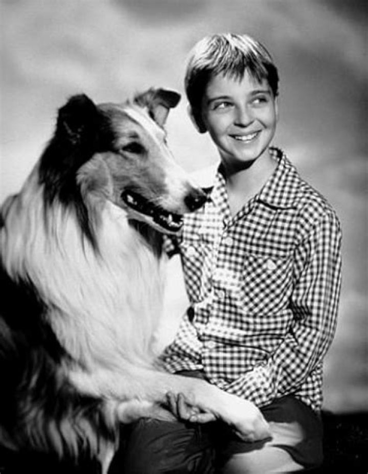 Tommy Rettig: The Rising Star in the Entertainment Industry