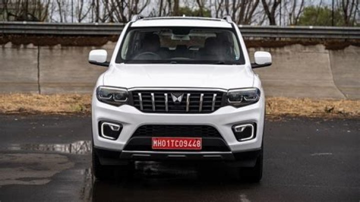 Viralkand.top: The Ultimate Guide to Understanding Its Impact and Popularity