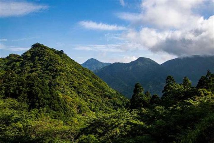 Where Is Ivory Hills in Japan? Exploring the Enchanting Beauty of This Hidden Gem
