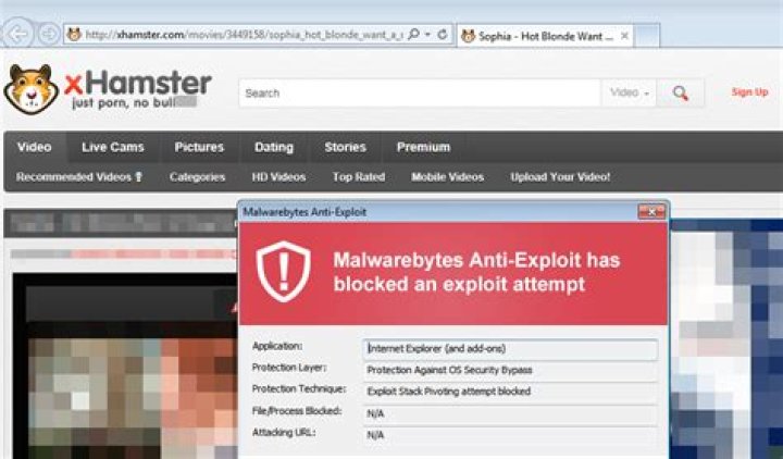 Xhamster History: A Comprehensive Look into the Platform's Evolution