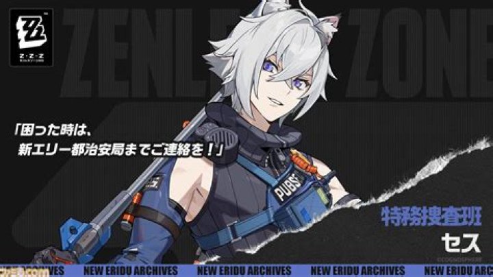 ZZZ Police: The Unsung Heroes of Modern Law Enforcement